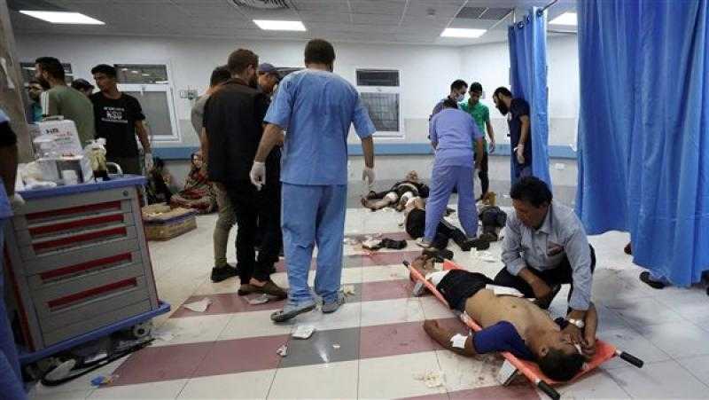 الزراعة  : صرف تعويضات الحمى القلاعية من التأمين على الماشية فورًا عقب الابلاغ عن النفوق