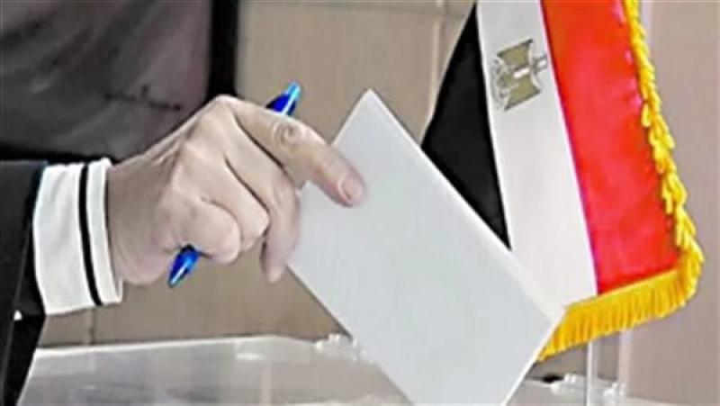 مشاركة واسعة للمصريين بالسعودية في انتخابات النواب بالدوائر الملغاة