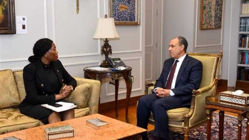 عبد العاطي يؤكد أهمية استكمال تشكيل مجلس الأعمال المصري–الجنوب أفريقي