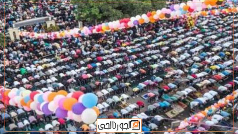 المستشار عصام الدين فريد