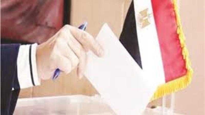 إقبال كثيف على جولة الإعادة بالدائرة الثامنة في الجيزة منذ الـ 9 صباحا