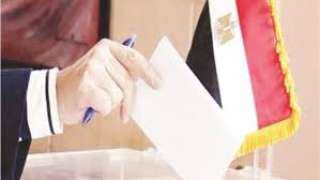 إقبال كثيف على جولة الإعادة بالدائرة الثامنة في الجيزة منذ الـ 9 صباحا