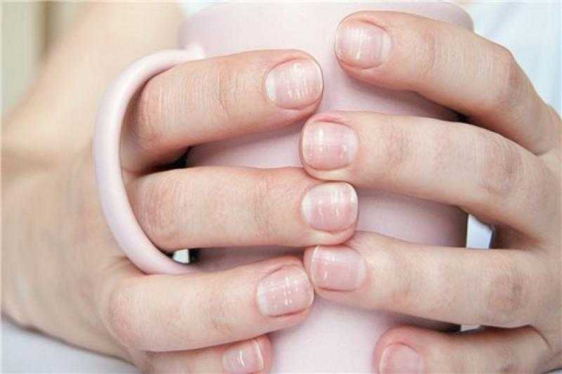 صحة المنيا تكشف عن انخفاض استهلاك الألبان الصناعية بفضل حملات التوعية بالرضاعة الطبيعية