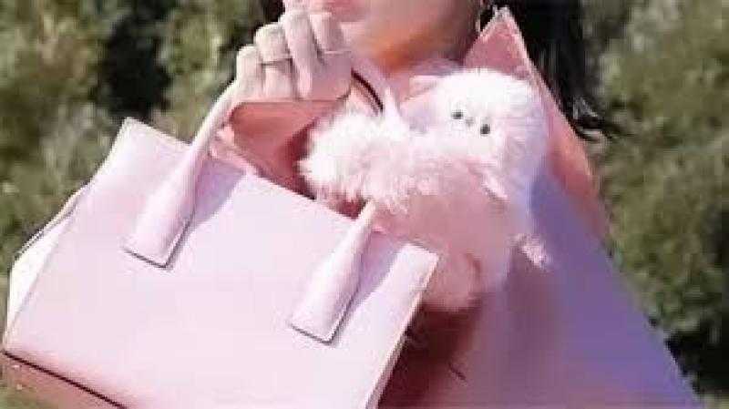 ميرومي.. روبوت ياباني ينافس ”لابوبو” ويخطف الأنظار في عالم الإكسسوارات|سعره صادم