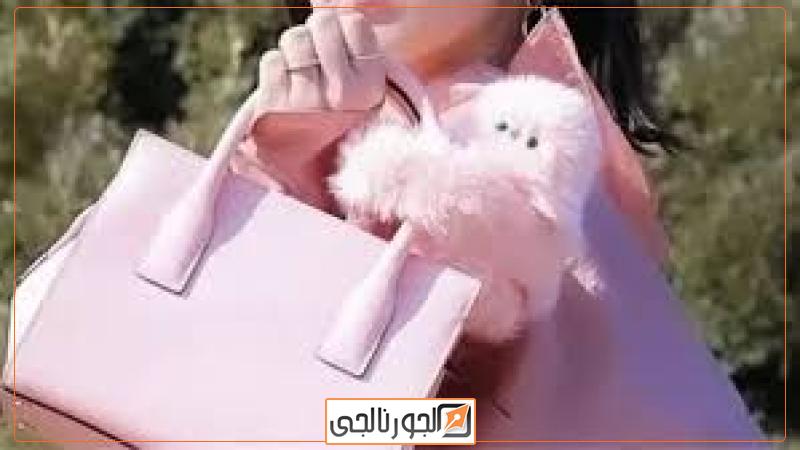 الجورنالجي