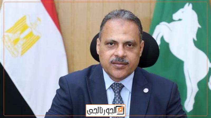 محافظ الشرقية