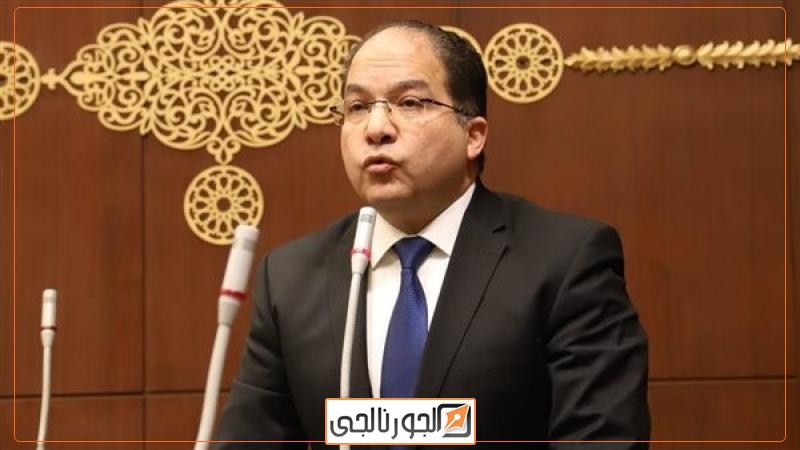 النائب عادل اللمعي