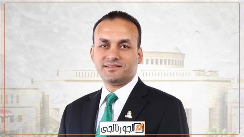 النائب عمرو فهمي