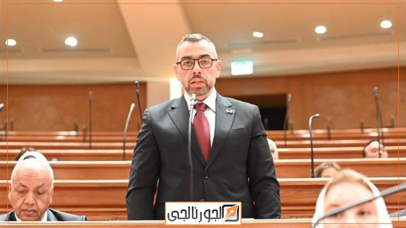 النائب محمد فؤاد