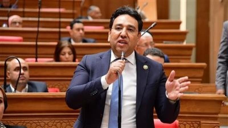 أيمن محسب يطالب بإلغاء الحبس بجميع قوانين الاستثمار ليتماشي مع المنطق الحديث