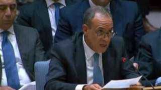 وزير الخارجية يؤكد ثوابت الموقف المصري تجاه القضية الفلسطينية