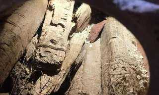 العثور على  خبيئة من التوابيت الملونة لمنشدي آمون  وثماني برديات نادرة من عصر الانتقال الثالث بالقرنة بالأقصر