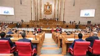 اقتصادية النواب: تحركات مصر الدبلوماسية تهدف لحماية الاقتصاد والأسواق المحلية