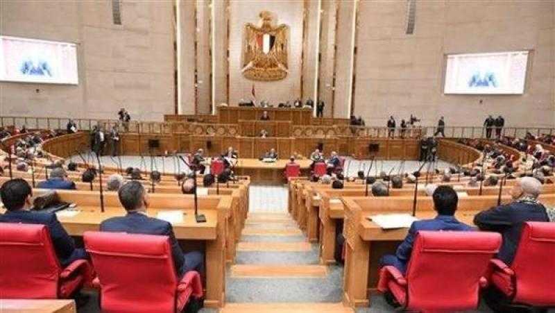 اقتصادية النواب: تحركات مصر الدبلوماسية تهدف لحماية الاقتصاد والأسواق المحلية