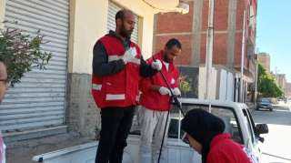 استجابة للشكاوى.. تحصين 48 كلبًا ضالًا خلال حملات الطب البيطري بقنا