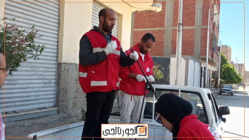 حملات الطب البيطري لتحصين الكلاب الضالة