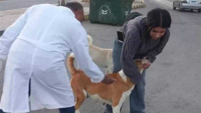 وزارة الزراعة: تحصين 18 ألف كلب ضمن حملة مكافحة السعار حتى مارس 2026