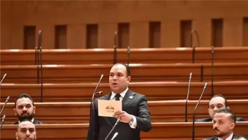 «برلماني»: الجولات الخارجية للرئيس السيسي هدفها الحفاظ على الأمن العربي