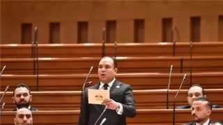 «برلماني»: الجولات الخارجية للرئيس السيسي هدفها الحفاظ على الأمن العربي