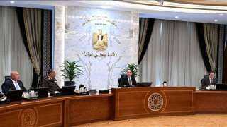 مدبولي: الحكومة تتابع تداعيات الأحداث بالمنطقة للتحرك بما يحمي استقرار الاقتصاد المصري