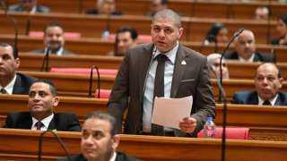 أحمد جبيلي: توجيه الرئيس بدراسة “دولة الفنون والإبداع” خطوة استراتيجية لبناء القوة الناعمة