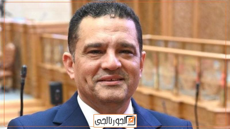 النائب أمير أحمد الجزار