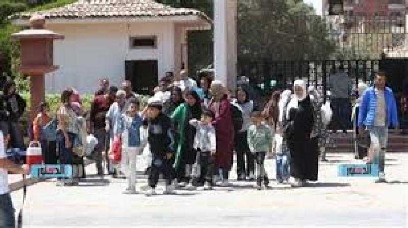 قصور الثقافة توظف التكنولوجيا لنشر الوعي الرقمي وتقليل الفجوة بين الأجيال