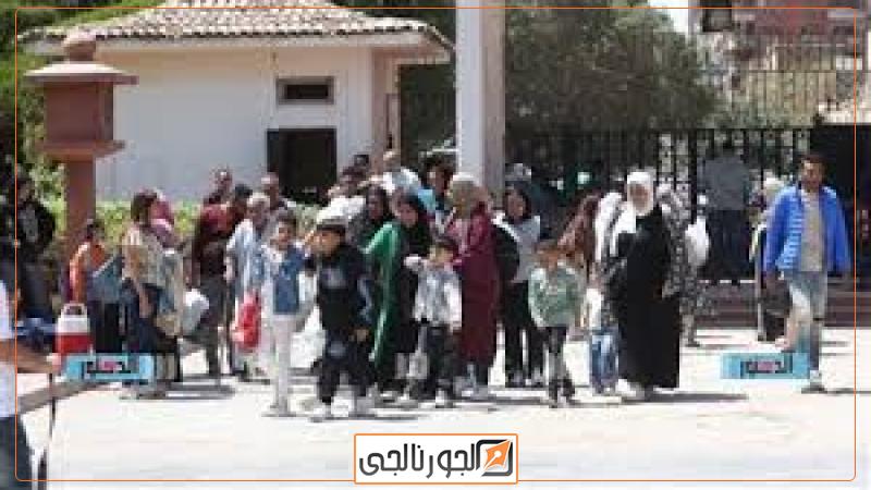 الهيئة العامة لقصور الثقافة