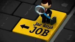 فرص عمل جديدة للشباب.. العمل تطلق نشرة توظيف تضم أكثر من 6 آلاف وظيفة