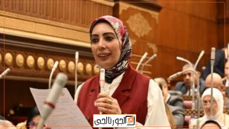 النائبه وفاء رشاد عضو مجلس الشيوخ