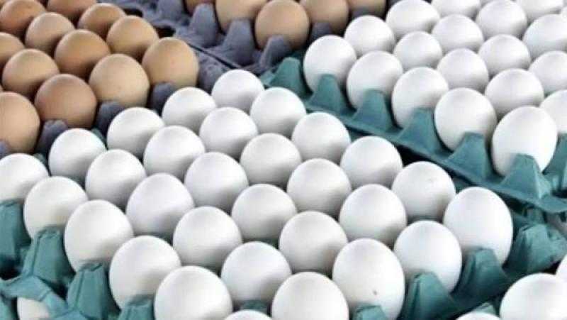 قفزة 35 جنيهًا للطبق.. تعافي أسعار البيض الأحمر بعد موجة خسائر للمنتجين