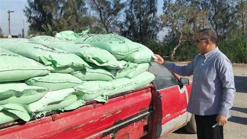 الدقهلية تتخطى المستهدف، توريد 300 ألف طن قمح وحوافز مجزية للمزارعين
