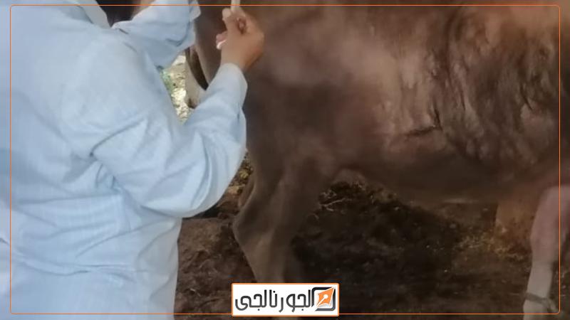لقطة من الحملة