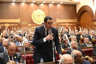 برلمانية المؤتمر بمجلس الشيوخ: قمة السبع تكشف حجم التحول في مكانة مصر الدولية