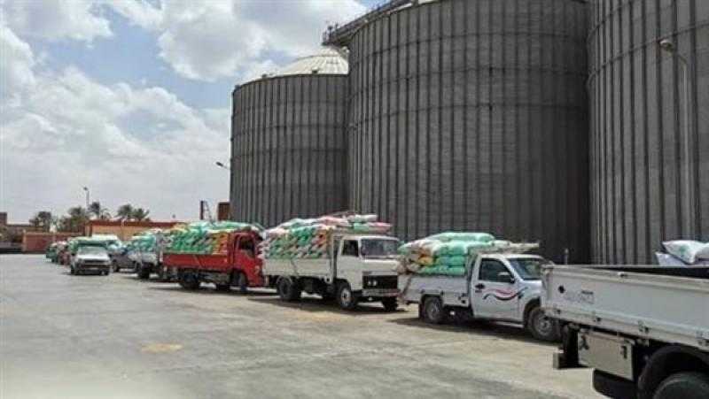 زراعة بني سويف: توريد 346 ألف طن قمح للشون والصوامع