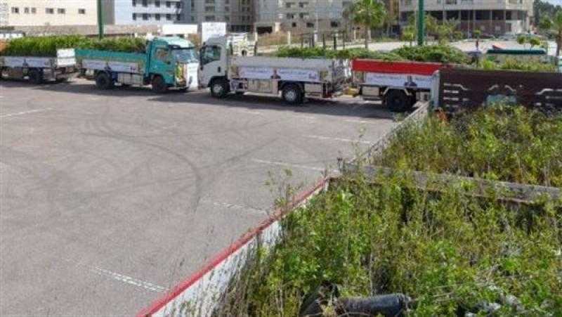 مجلس الوزراء: زيادة المساحات الخضراء في 7 محافظات بزراعة 75 ألف شجرة