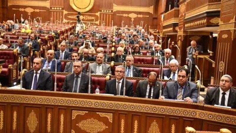 مجلس الشيوخ يناقش تحديات المشروعات الصغيرة والمتوسطة وآليات الدعم