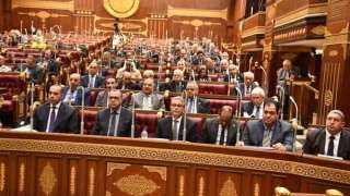 مجلس الشيوخ يناقش تحديات المشروعات الصغيرة والمتوسطة وآليات الدعم مجلس الشيوخ يناقش تحديات المشروعات الصغيرة والمتوسطة وآليات الدعم