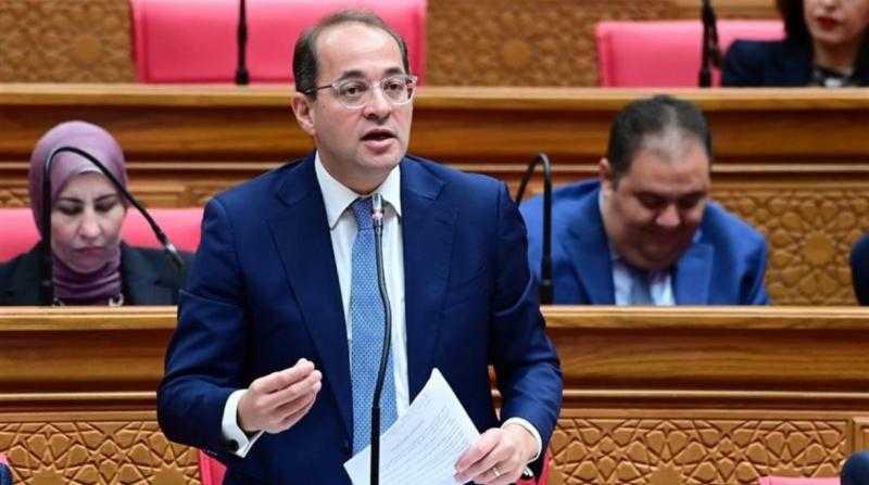 وزير المالية: لجان إنهاء المنازعات مستمرة حتى بعد انتهاء فترة تقديم الطلبات