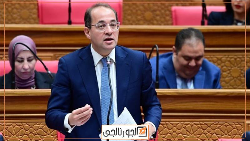أحمد كجوك، وزير المالية