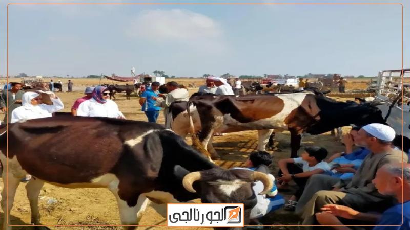 الجورنالجي