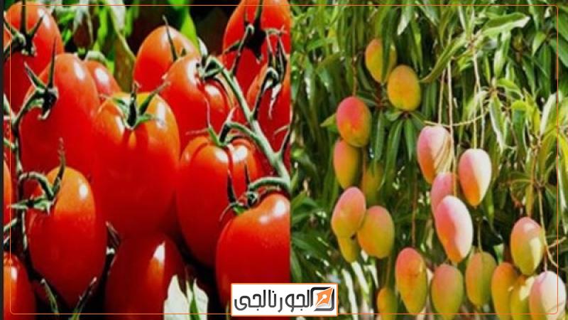 دعم القطاع الزراعي لصالح الاقتصاد الوطني