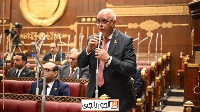 حازم الجندي، عضو مجلس الشيوخ