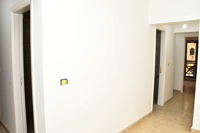 236.jpg